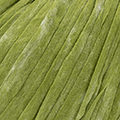 143 - Pistacchio