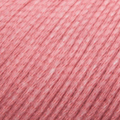 111 - Rosa
