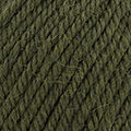 81 - Pale green