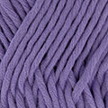 19 - Lilas bleu