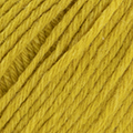 79 - Mustard