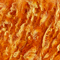 65 - Pomarańczowy-Cytrynowo żółty