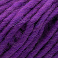 73 - Viola
