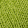 24 - Vert lime