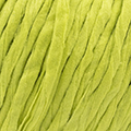 65 - Pistacchio