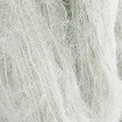 201 - Sage