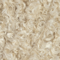 151 - Beige