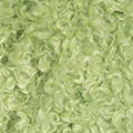 156 - Lime green