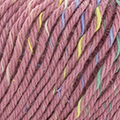 200 - Rosé-Multicolore