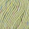 202 - Salvia-Multicolore