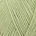 81 - Pistacchio
