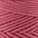 41 - Hibiskus