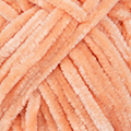 213 - Salmon