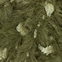 307 - Khaki -Miętowa zieleń