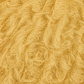 69 - Ocre