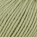 20 - Salbei