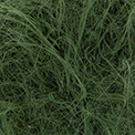 110 - Verde foresta