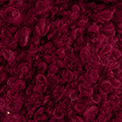 108 - Viola bordeaux