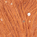 206 - Copper