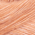 101 - Salmon-Rust