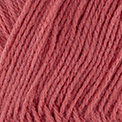 84974 - Hibiscus