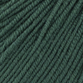 48 - Verde botella