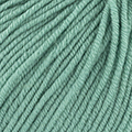 89 - Fern green