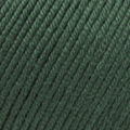 69 - Bottle green