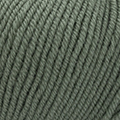 157 - Salbei