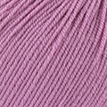 46 - Rosa