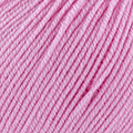 58 - Chicle
