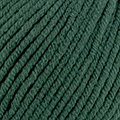 64 - Vert bouteille