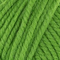 63 - Erba verde