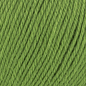 107 - Green grass