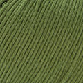 79 - Verde pino