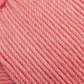 17 - Coral