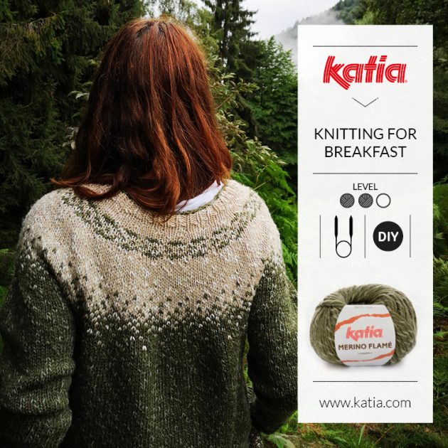 knitting-for-breaktfast-top-down-pulli-mit-rundpasse