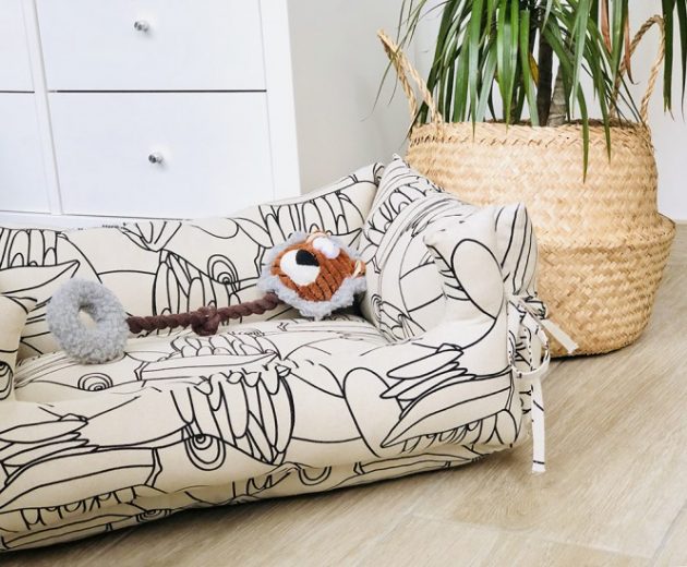 Sewing projects for pets
