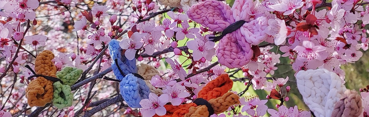 knit a butterfly